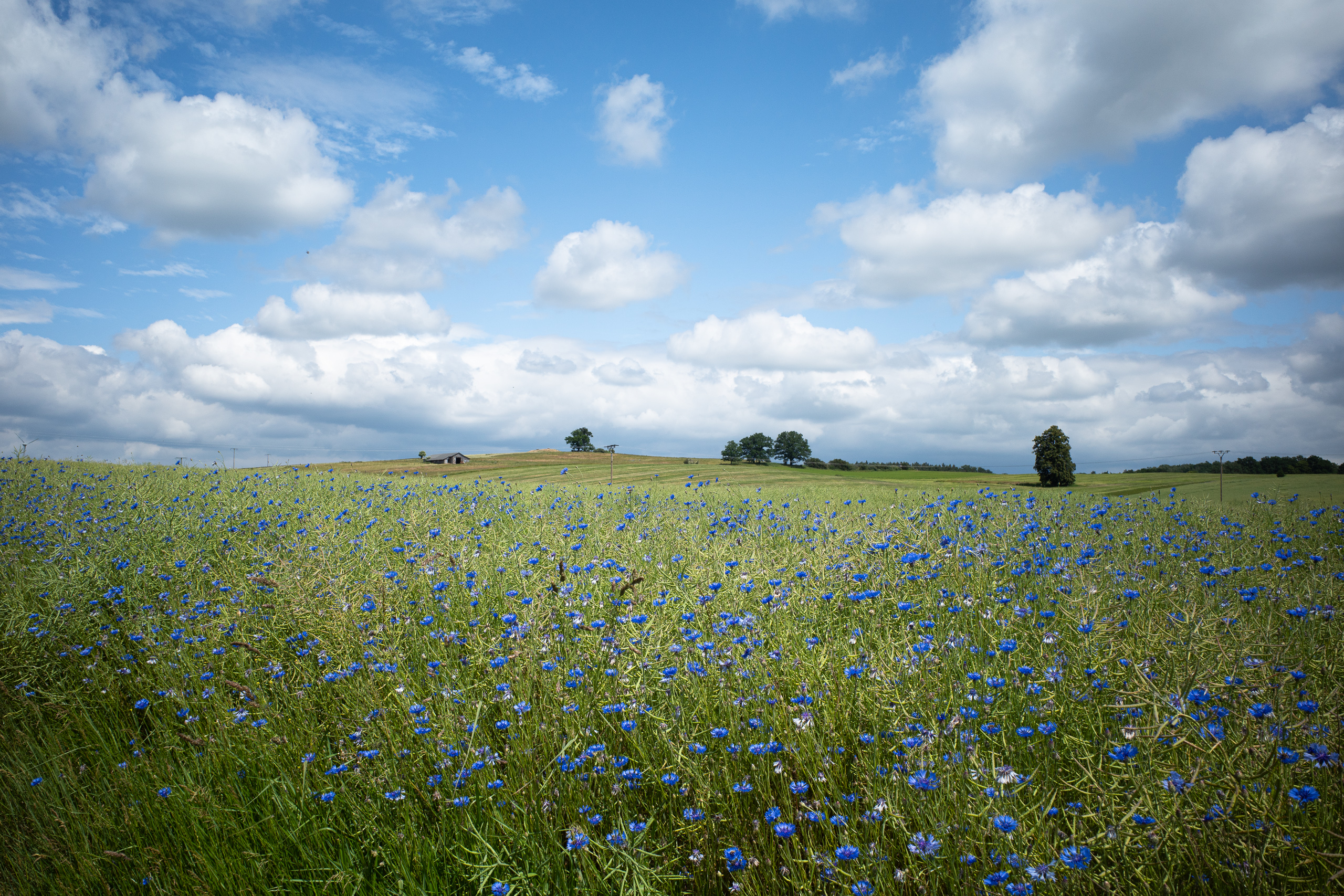 Bad Schandau – Ruhland: Giftige Anstiege, Föhrenwälder, Italian Hospitality